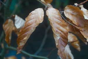 201704161-IMG00759-BF.jpg 201704161-IMG00759-BF.jpg