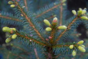 201704161-IMG00758-BF.jpg 201704161-IMG00758-BF.jpg