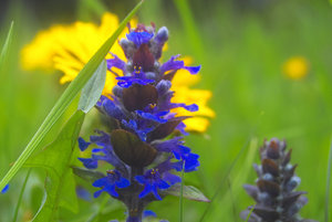 201704171-IMG00761-2-BF.jpg 201704171-IMG00761-2-BF.jpg