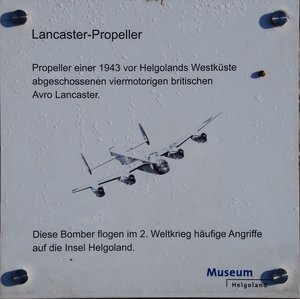 Museumsstücke (3).jpg