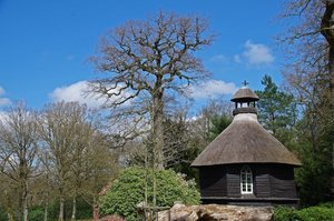 Bäume Lütetsburgpark (1).jpg