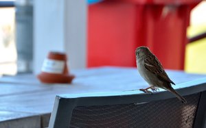 comp_36Treffen.jpg comp_36Treffen.jpg