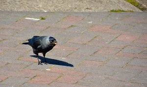 comp_46Treffen.jpg comp_46Treffen.jpg