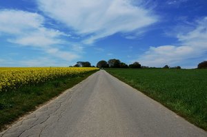 DSC_1136_ji_c.jpg DSC_1136_ji_c.jpg