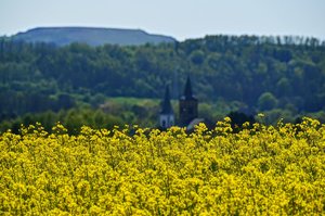 DSC_1143_ji_c.jpg DSC_1143_ji_c.jpg