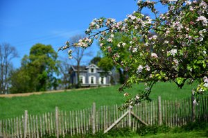 DSC_1168_ji_c.jpg DSC_1168_ji_c.jpg