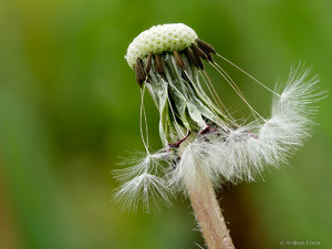 2017-05-01 18-21-01 (A,Radius4,Smoothing2).jpg