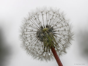 2017-04-17 13-37-04 (A,Radius8,Smoothing4)_SHARPEN projects.jpg