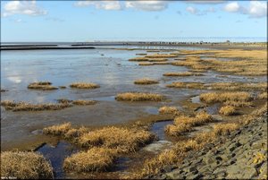 132 Nordsee 2017.jpg