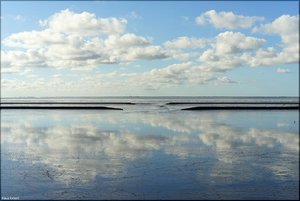 131 Nordsee 2017.jpg