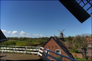 066 Nordsee 2017.jpg