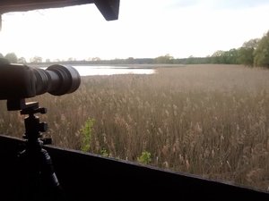 Roter-Lug.jpg Roter-Lug.jpg