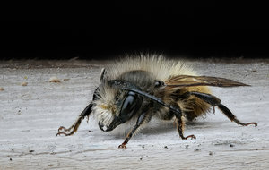 2017-05-07 13-38-39 (C).jpg