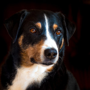 für Fotoforum_1 (1 von 4).jpg