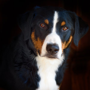 für Fotoforum_1 (2 von 4).jpg