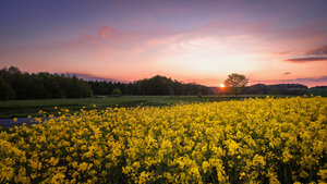 für Fotoforum_1 (4 von 4).jpg