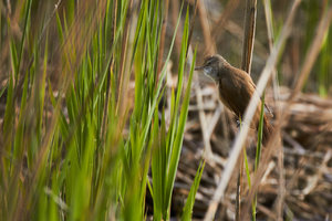 IMG_2449.jpg IMG_2449.jpg