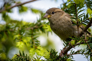 ExLR DSC_3592-Bearbeitet-2.jpg