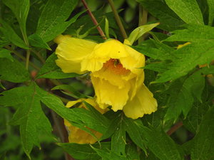 DSCN0924_Bildgröße ändern.JPG