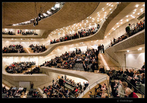 2017-02-12-_DSC0082 BE BE FF-FaMo.jpg