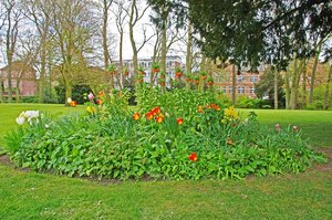 Schloßpark Jever (5).jpg