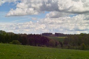 testbild.jpg testbild.jpg