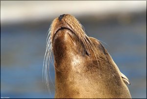 Bild - 1.jpg Bild - 1.jpg