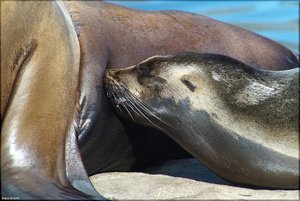 Bild - 8.jpg Bild - 8.jpg