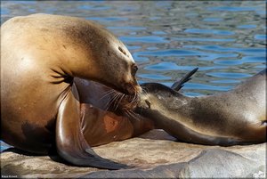 Bild - 10.jpg Bild - 10.jpg