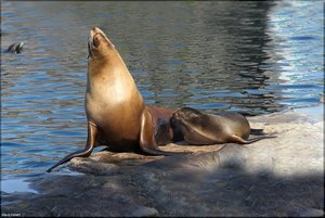 Bild - 13.jpg Bild - 13.jpg