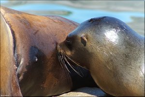 Bild - 17.jpg Bild - 17.jpg