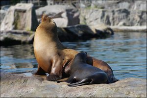 Bild - 18.jpg Bild - 18.jpg