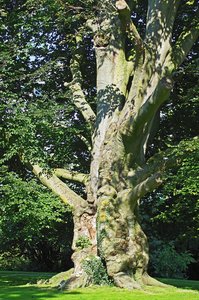 8.Sep. 2016 (2).jpg 8.Sep. 2016 (2).jpg