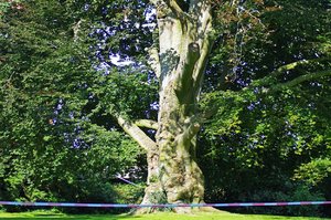 8.Sep. 2016 (3).jpg 8.Sep. 2016 (3).jpg