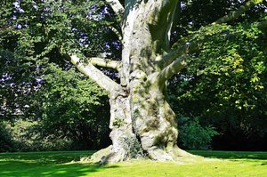 8.Sep. 2016 (1).jpg 8.Sep. 2016 (1).jpg