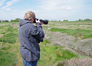 Salzwiesen  Cäci (2).jpg