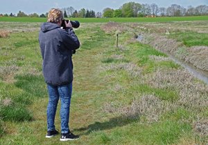 Salzwiesen  Cäci (14).jpg