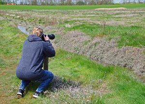 Salzwiesen  Cäci (15).jpg