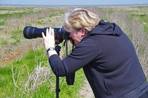 Salzwiesen 11.Mai 17 (3).jpg