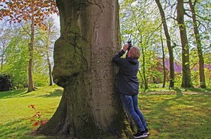 Schloßpark (10).jpg