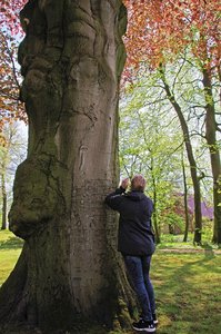 Schloßpark (11).jpg