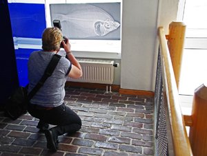 Wattenmeerhaus (1).jpg