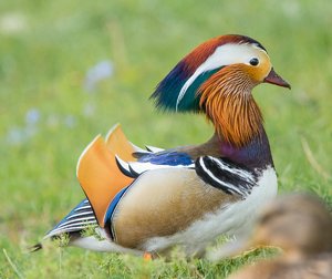 comp_Garten 2017-7671.jpg