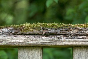 comp_BIMG_2621.jpg comp_BIMG_2621.jpg