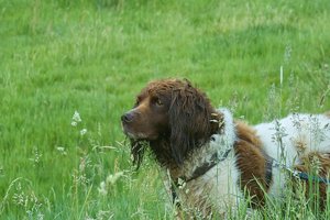 Forum SDIM1867spp64 SD14 + 28-80©PPf.jpg