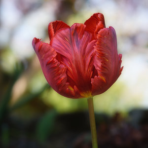 Fotoforum 116 (1 von 4).jpg