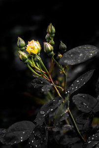 Fotoforum 116 (2 von 4).jpg