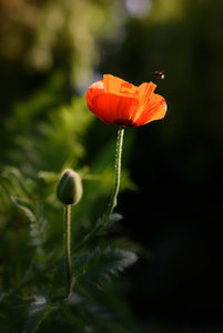 Fotoforum 116 (3 von 4).jpg