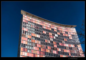 2017-04-30-_DSC1610 BE BE FF-FaMo.jpg