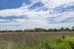 comp_7Wind.jpg comp_7Wind.jpg